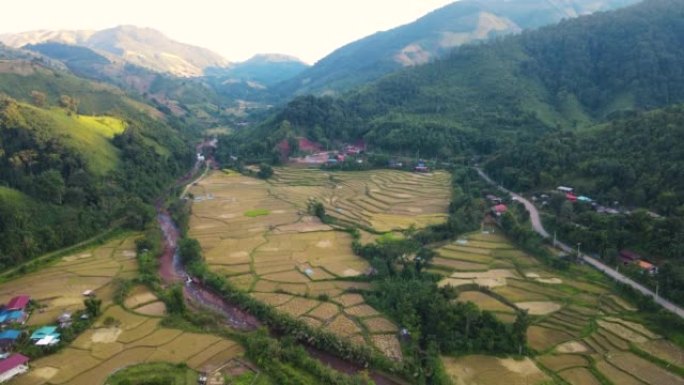 空中看稻田梯田，山上有水稻种植