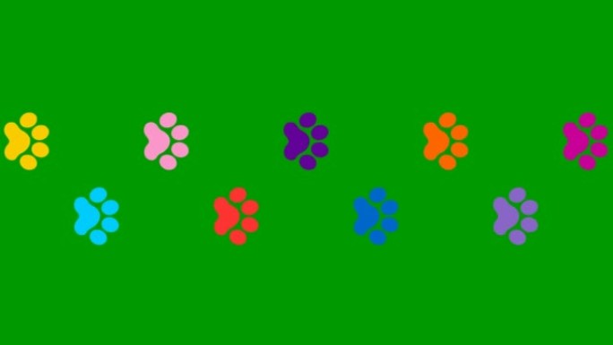 动画猫彩色轨道。猫的爪印轮流出现。循环视频。矢量平面插图孤立在绿色背景上。