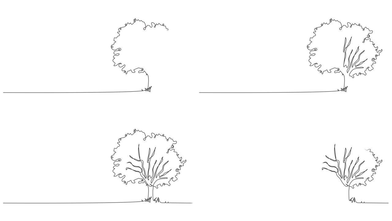 阔叶树的动画连续单线图