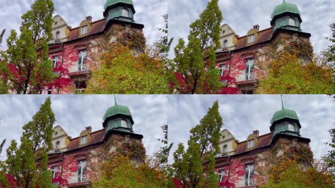 在德国慕尼黑市的经典建筑立面上生长的藤蔓