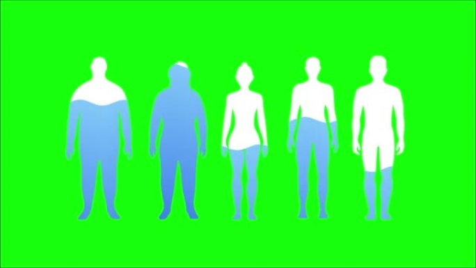 色度键绿色屏幕背景上的人体动画中的水率。充满水的男女剪影。医疗保健概念。4K