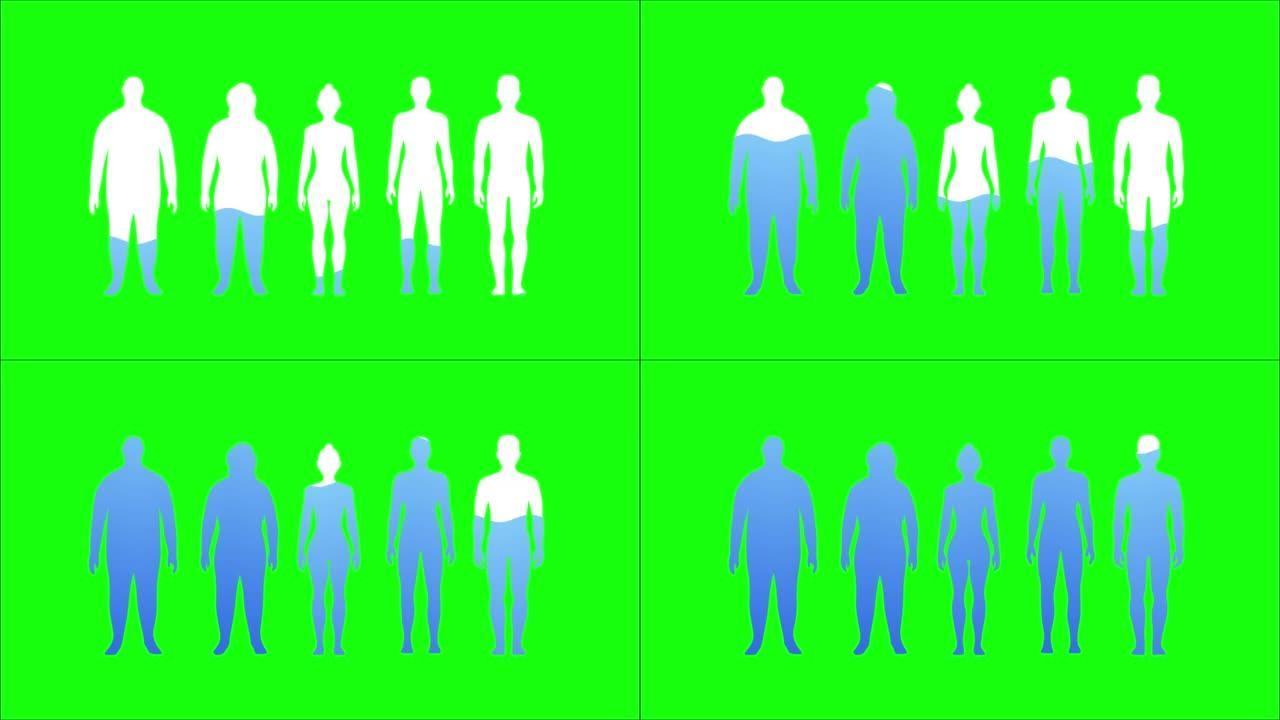 色度键绿色屏幕背景上的人体动画中的水率。充满水的男女剪影。医疗保健概念。4K