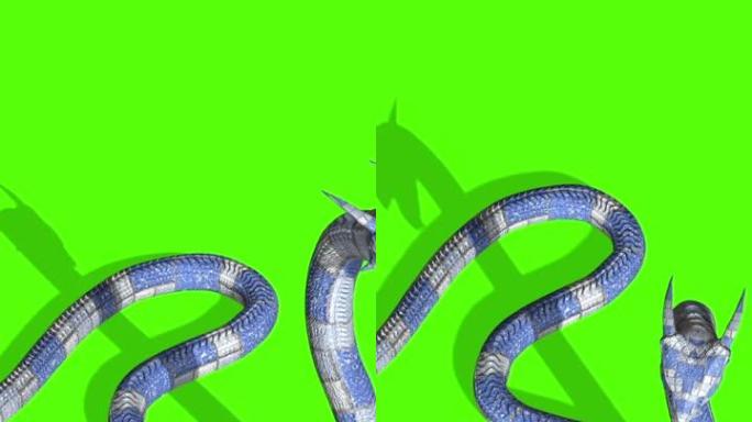 蛇攻击的垂直视频动画-Python绿屏