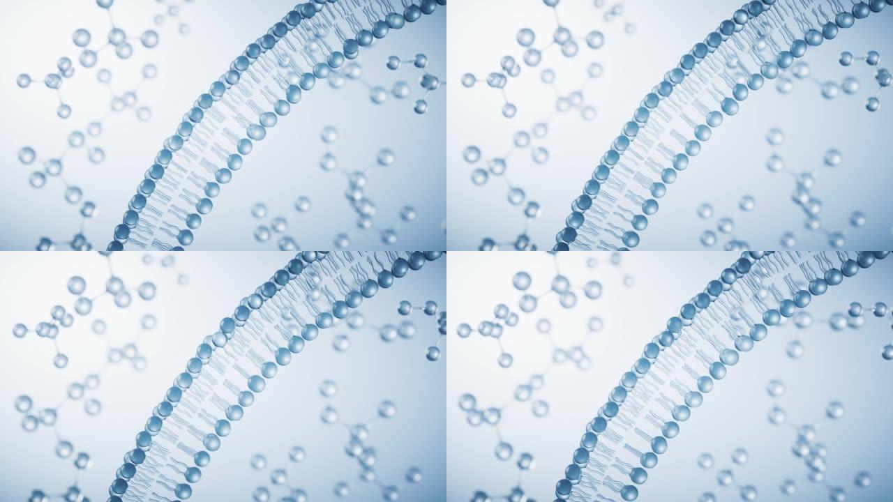 透明的细胞膜结构，3d渲染。