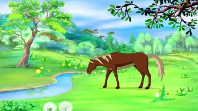 棕色的马在草地上吃草