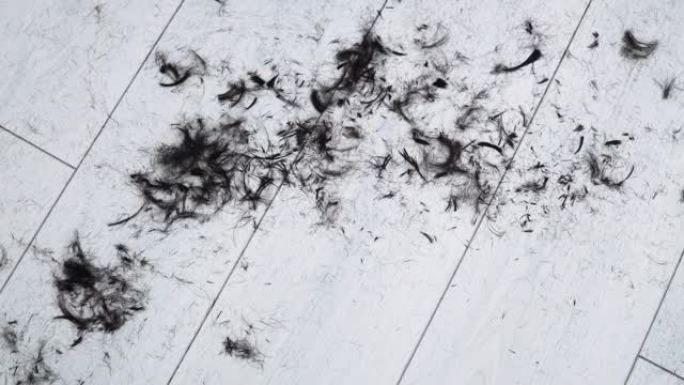 镶木地板上的白色层压板上的短发。剪头发