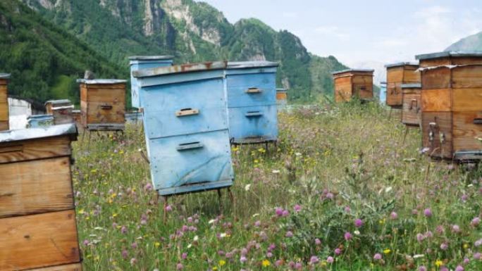 蜂箱在山上。人工饲养乡村农村蜂蜡箱子