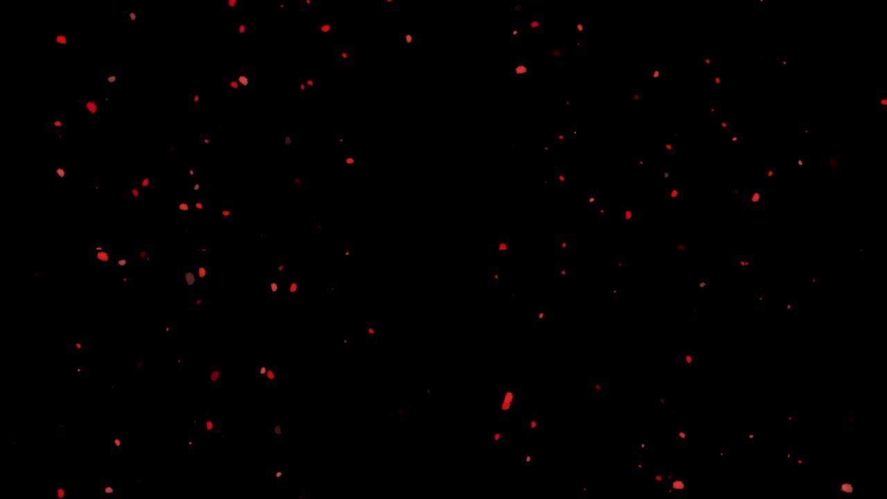 红球和圆圈，水微生物和微生物，医学和生物学，血液显微镜特写。3D渲染。混合模式，黑色背景