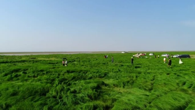 空中摄影绿草地成人与儿童在草地上奔跑