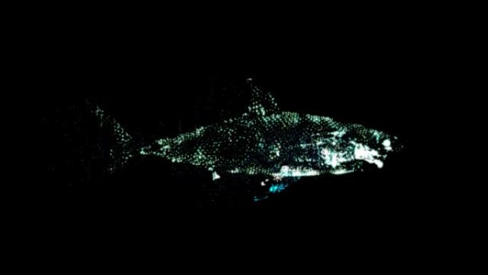 在完全黑暗的海洋中游泳的发光鲨鱼的插图