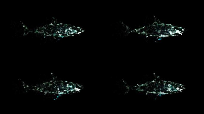 在完全黑暗的海洋中游泳的发光鲨鱼的插图