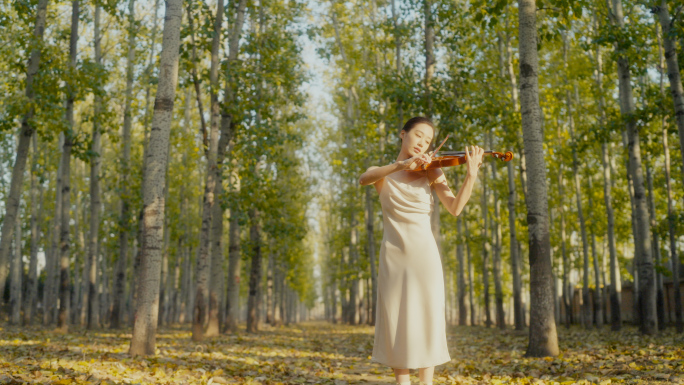 唯美女孩秋天树林里弹奏小提琴