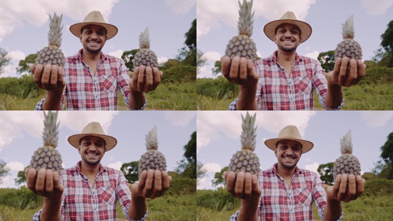 农场里拿着菠萝的人。电影4K