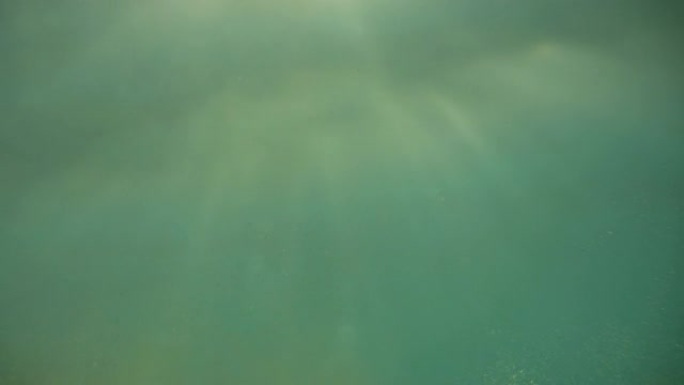 从下面看水面。重点关注水中漂浮的沙粒、磷虾和气泡。靠近水面和水深的气泡。