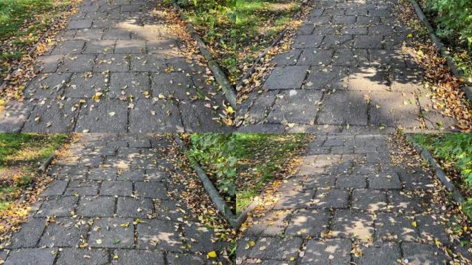 一片水泥砖路面，落叶黄色。