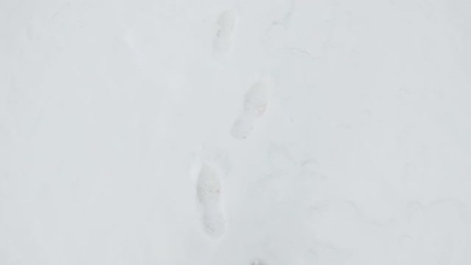 4K POV拍摄的印度徒步旅行者在冬季在印度喜马al尔邦马纳利的山顶上的雪地上行走。降雪后，一个人在