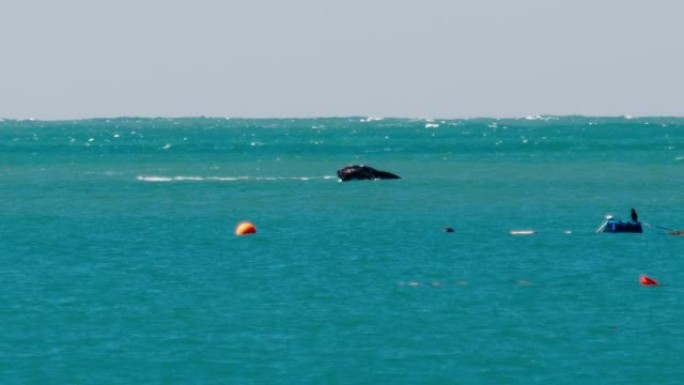 巴西海岸大西洋的鲸鱼破裂。一系列单独的违规行为