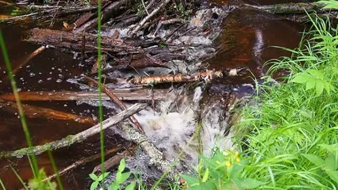 河狸在河流或溪流上竖立的海狸水坝，以防止捕食者并促进冬季觅食。坝体材料为木、枝、叶、草、淤泥、泥、石