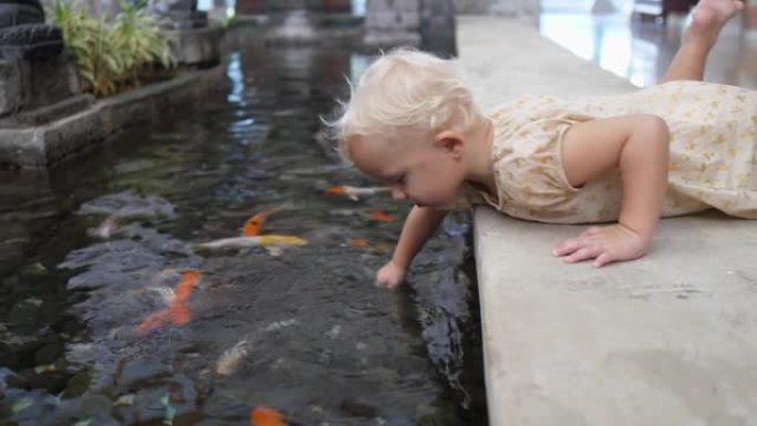 高加索2岁女孩躺在与水接壤的石阶上，在池塘里玩锦鲤鱼。孩子在水中移动他的手，发酵鱼的兴趣。
