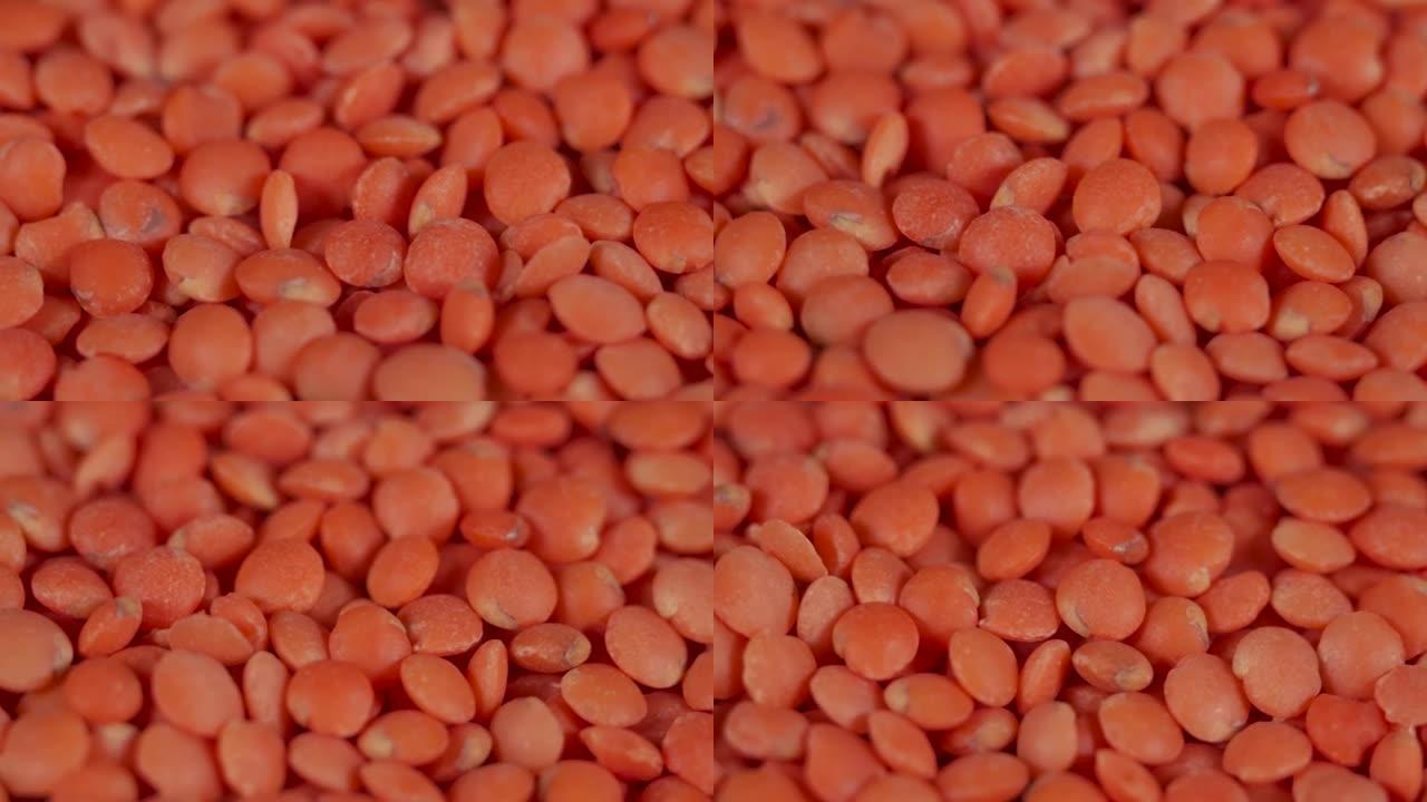 慢动作旋转红色小扁豆。微距拍摄扁豆纹理图案背景。素食健康有机食品饮食。生有机红扁豆颗粒旋转特写。素食