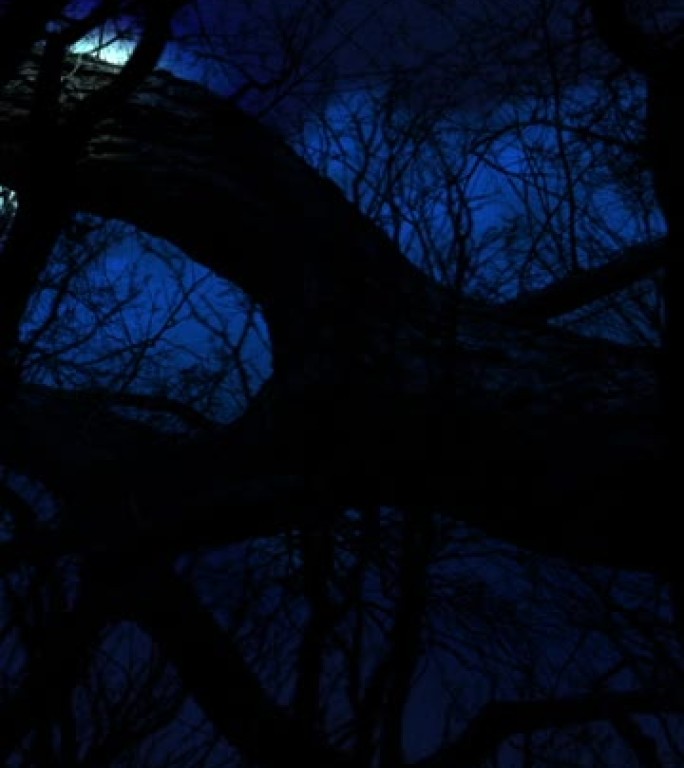 垂直视频-深蓝色夜空上的满月穿过云层