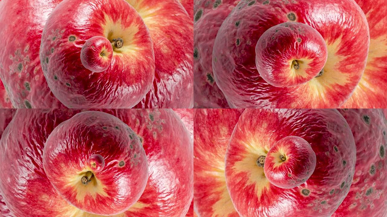 腐烂的老红苹果无缝循环缩放。带有丑陋水果的抽象背景。老年食品概念插图