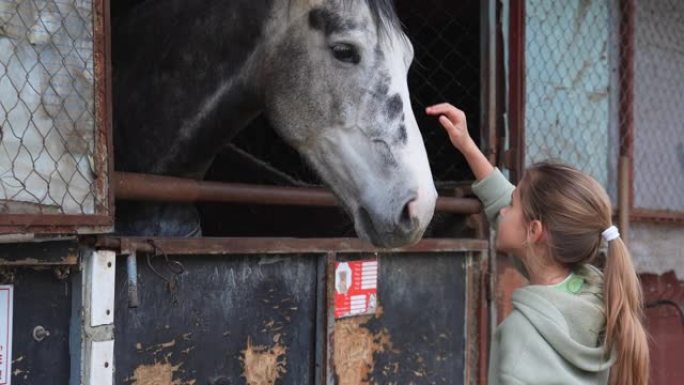 一个女孩抚摸一匹马，它的头从马厩的窗户伸出来