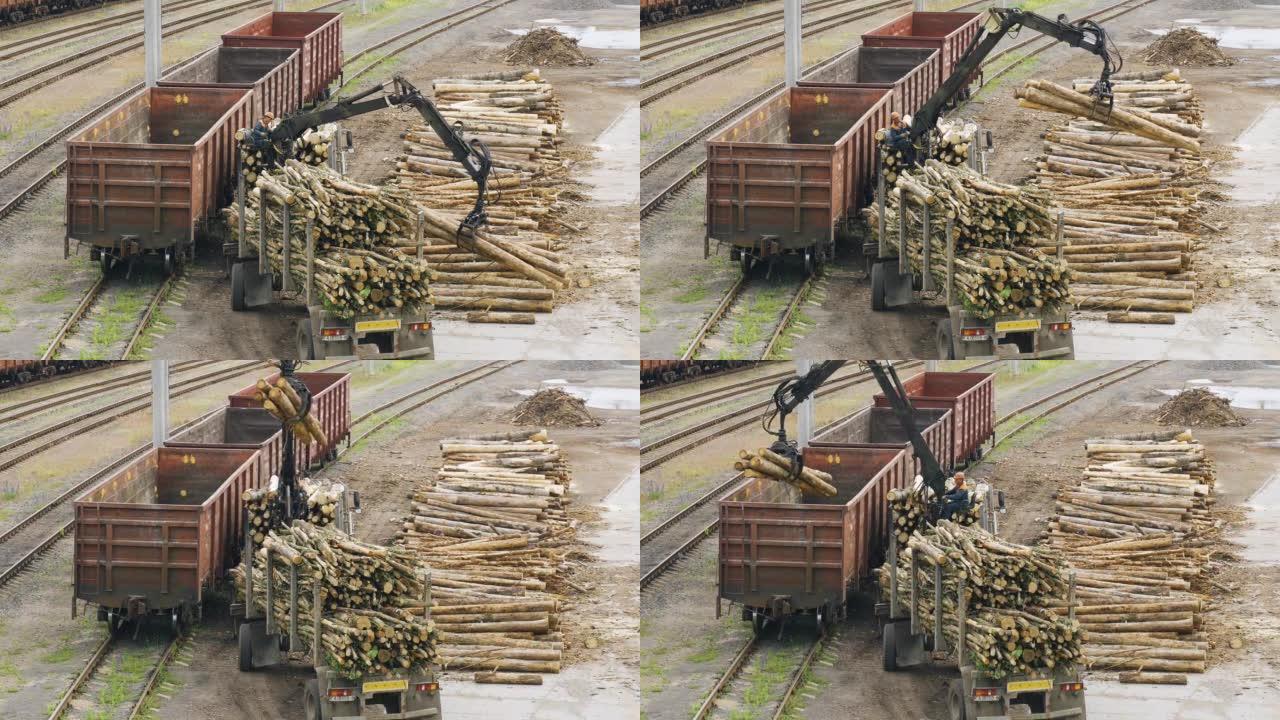 装载机将新锯的原木装载到货车中。