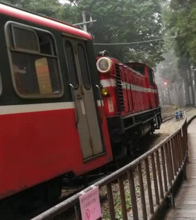 阿里山森林中的红色火车在雾中来临