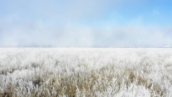 广阔的薄雾笼罩着霜冻和雪-冬日景观