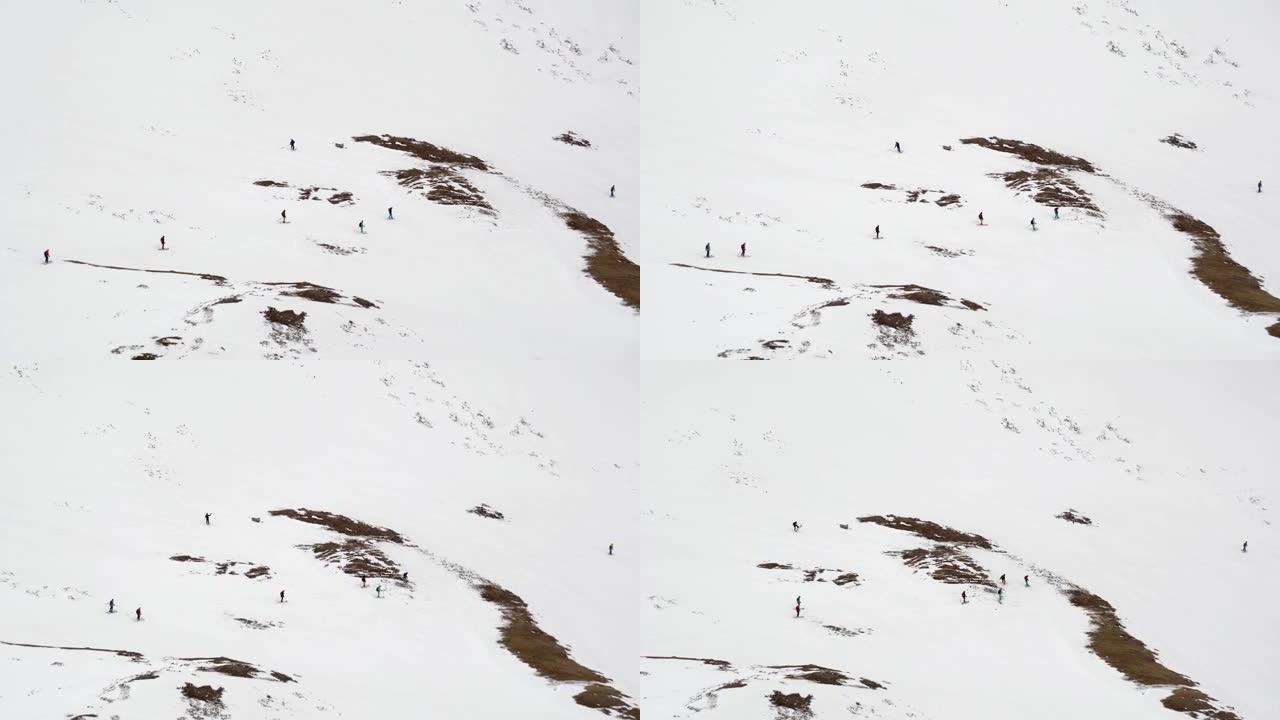 一群人在国外滑雪和单板滑雪，自由式滑雪和滑雪板在深深的粉末雪中。极限冬季运动