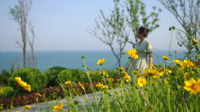 实拍海边公园美女赏花