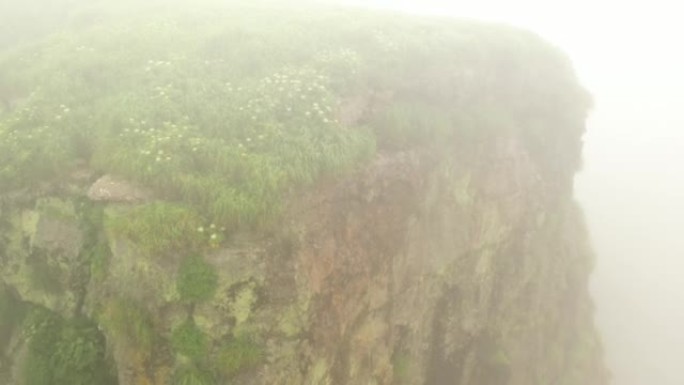 小千岛链-动植物