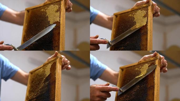 在机器中准备蜂蜜提取的蜂蜜框架。雄性的手在蜂窝上发现顶部，以去除蜂蜜。