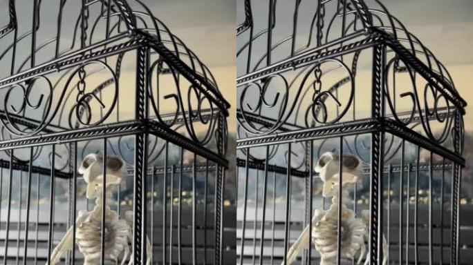 鸟骨架坐在笼子里万圣节如火如荼的特写万圣节装饰相机静态不动上面的链条骨架是惊人的大理石瓷砖在背景