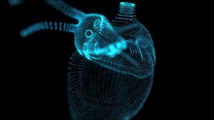 人类心脏的无缝循环运动。人体心脏模型的发光蓝光粒子点