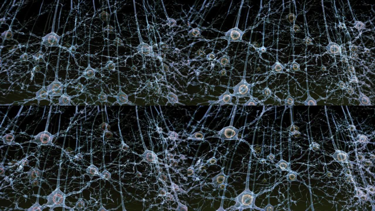 神经元系统神经元系统