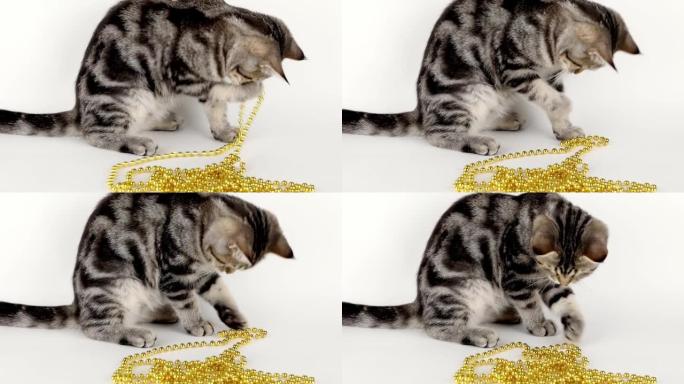 棕色小猫在浅色背景上玩金珠