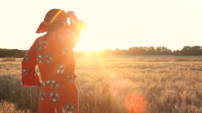 日落或日出时，身着传统服装的非洲妇女遮着眼睛站在小麦或大麦的麦田里