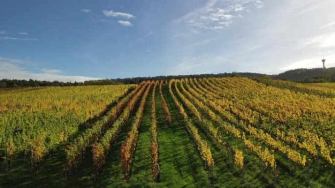 Swabia-Baden-w ü rttemberg以美丽的秋天色彩俯瞰德国南部葡萄园，农业区，草地
