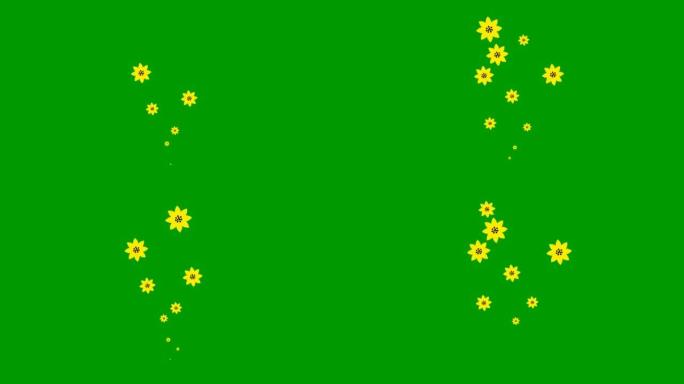 动画黄色美丽的花朵从下到上飞舞。白色背景上的飞行喷泉。循环视频。矢量插图孤立在绿色背景上。