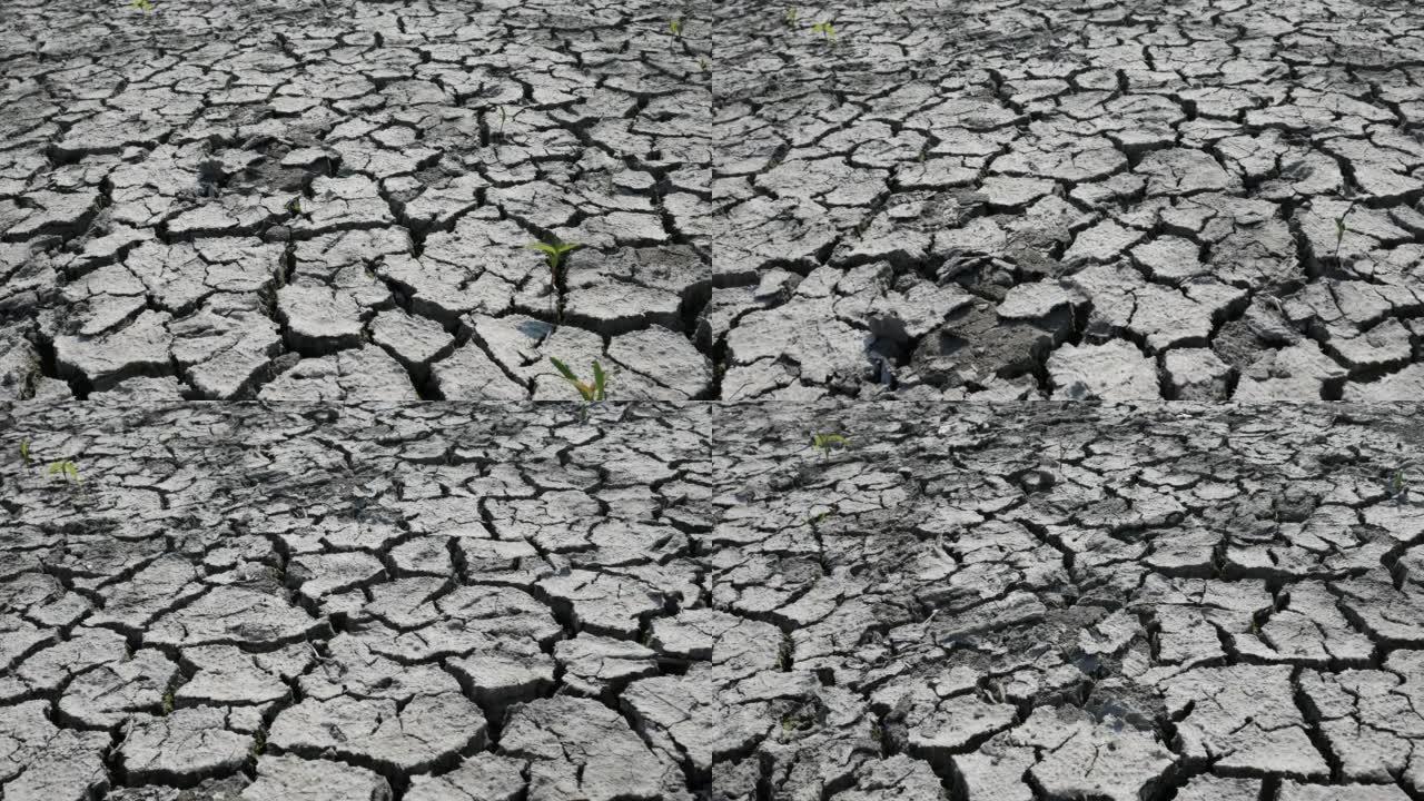 地面开裂的干旱湖床的干旱和危机环境