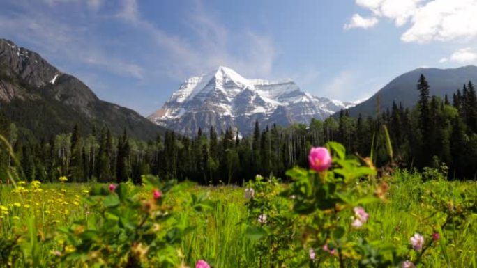 加拿大不列颠哥伦比亚省夏季罗布森山峰会