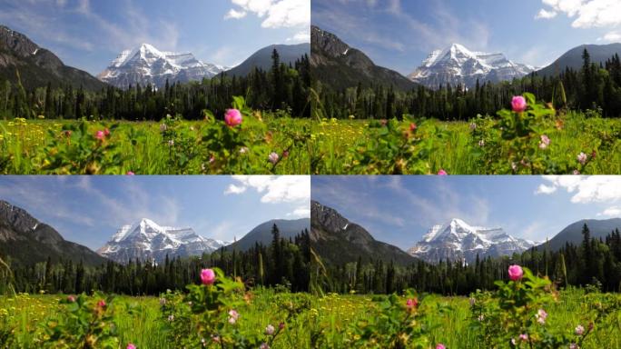加拿大不列颠哥伦比亚省夏季罗布森山峰会