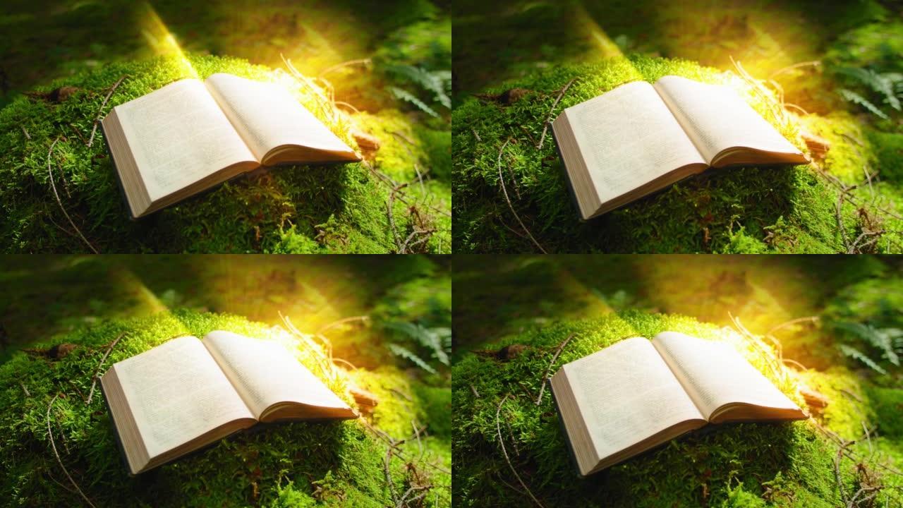 用闪光灯打开书。有魔幻故事的神秘印刷书。学问是光明，无知是黑暗。古代经文中的图文。绿色自然背景。