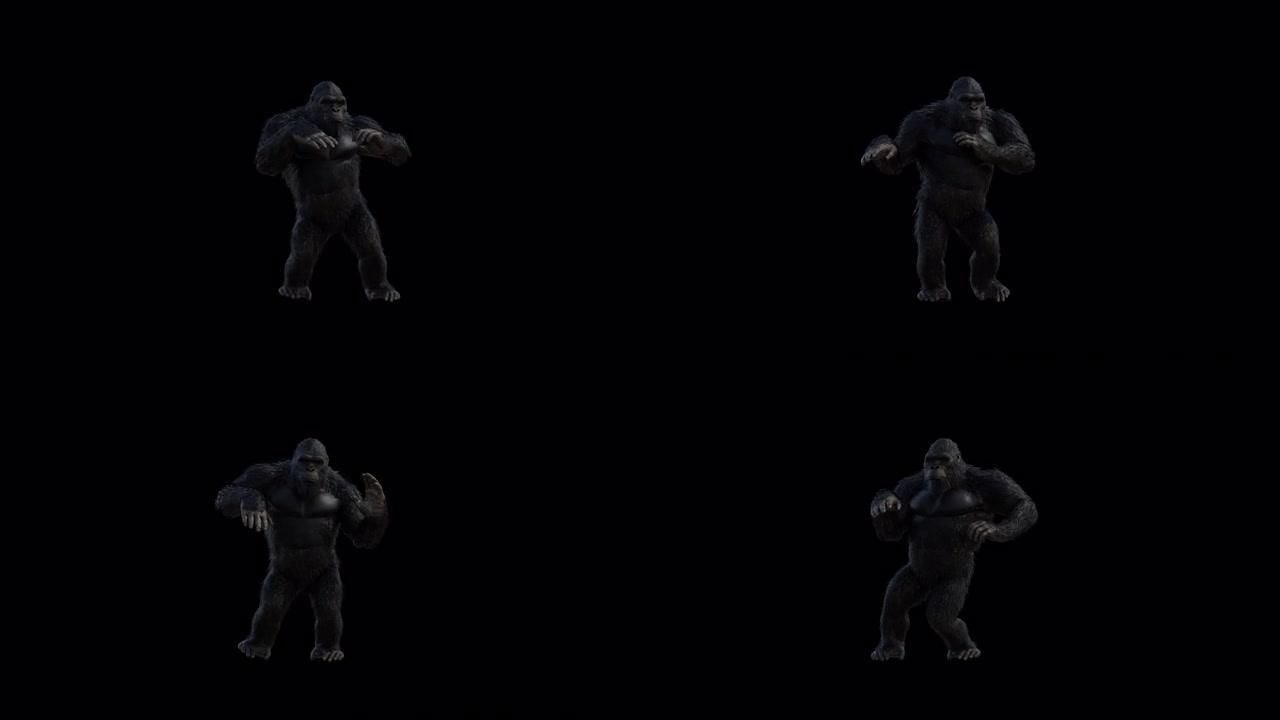 大猩猩舞蹈