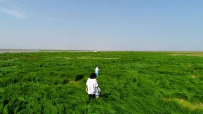 空中摄影绿草地成人与儿童在草地上奔跑