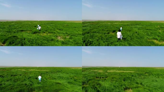 空中摄影绿草地成人与儿童在草地上奔跑