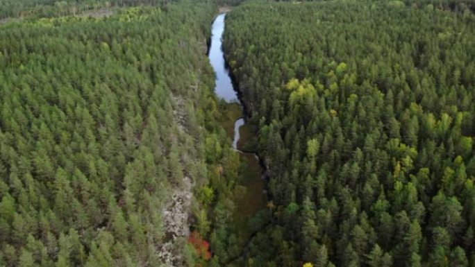 在瑞典针叶林中飞越带有长方形湖泊的山谷