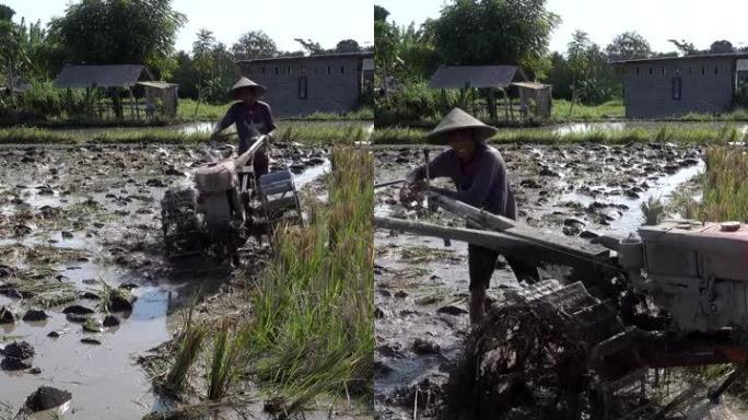 男子用2轮泥浆拖拉机犁稻田